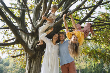 Vater und Mutter mit Kindern spielen auf einem Baum im Park - NDEF01408