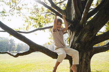 Carefree boy sitting on branch of tree at park - NDEF01409