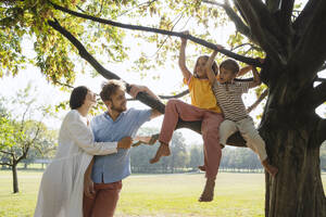 Mann und Frau betrachten Kinder, die auf einem Baum im Park sitzen - NDEF01410
