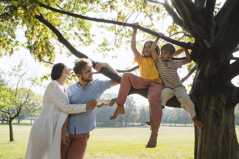 Man and woman looking at children sitting on tree at park - NDEF01410