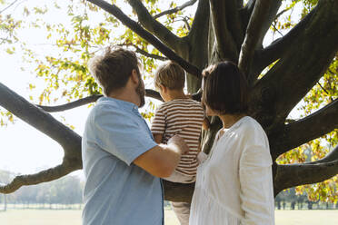 Parents looking at son sitting on tree at park - NDEF01414
