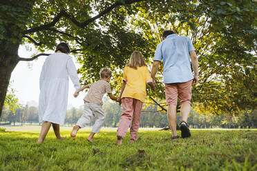 Familie, die sich an den Händen hält und auf dem Rasen im Park spaziert - NDEF01430