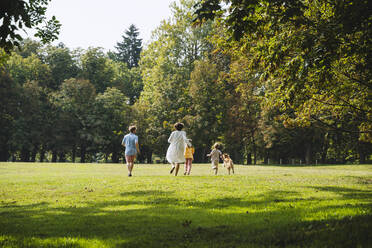 Familie genießt mit Hund läuft auf Gras im Park - NDEF01446