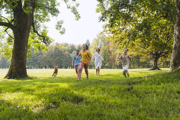 Daughter running with family on grass at park - NDEF01450