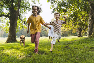 Brother and sister running with dog on grass at park - NDEF01451