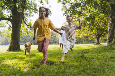 Bruder und Schwester rennen mit Hund auf Gras im Park - NDEF01451