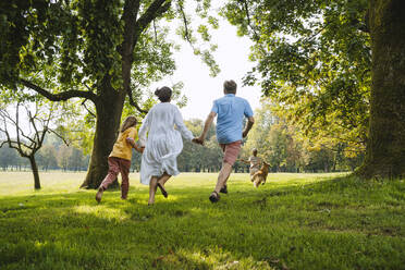 Familie, die sich an den Händen hält und auf einen Hund auf einer Wiese im Park zuläuft - NDEF01452