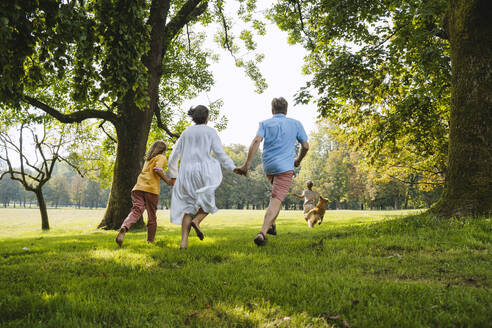 Family holding hands and running towards dog on grass at park - NDEF01452