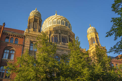 View of New Synagogue Berlin-Centrum Judaicum on Oranienburger Strasse, Berlin-Mitte, Berlin, Germany, Europe - RHPLF28916