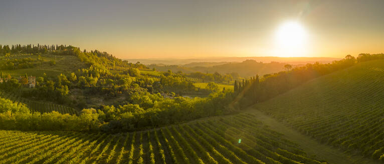 Elevated view of vineyards near San Gimignano at sunrise, San Gimignano, Tuscany, Italy, Europe - RHPLF28937