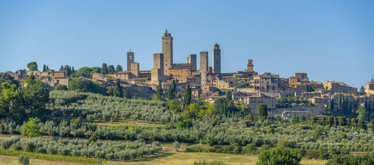 View of olive trees and landscape around San Gimignano, San Gimignano, Province of Siena, Tuscany, Italy, Europe - RHPLF28962