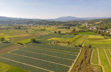 Erhöhte Ansicht von Ackerland und Landschaft bei Monterchi, Provinz Arezzo, Italien, Europa - RHPLF28969