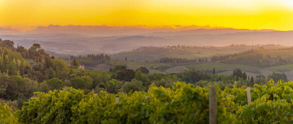 View of vineyards and landscape at sunrise near San Gimignano, San Gimignano, Province of Siena, Tuscany, Italy, Europe - RHPLF28989