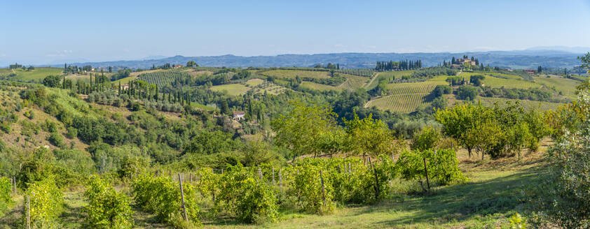 View of vineyards and landscape near San Gimignano, San Gimignano, Province of Siena, Tuscany, Italy, Europe - RHPLF29015