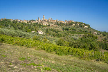 View of vineyards and San Gimignano, San Gimignano, Province of Siena, Tuscany, Italy, Europe - RHPLF29016