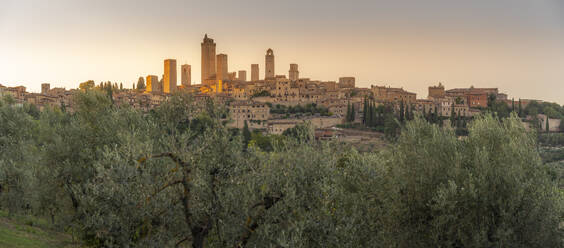 View of San Gimignano skyline at sunset, San Gimignano, Province of Siena, Tuscany, Italy, Europe - RHPLF29017