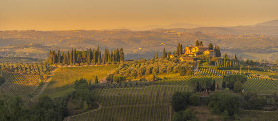 View of vineyards and landscape near San Gimignano at sunset, San Gimignano, Province of Siena, Tuscany, Italy, Europe - RHPLF29020