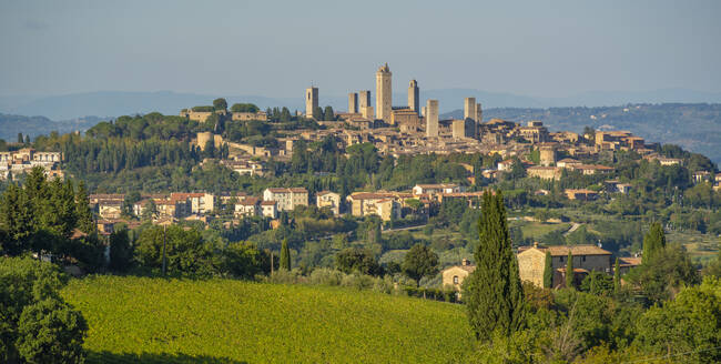 View of vineyards and San Gimignano skyline, San Gimignano, Province of Siena, Tuscany, Italy, Europe - RHPLF29021