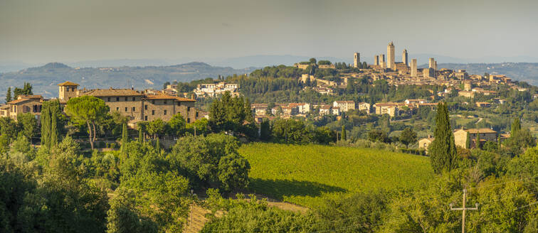 View of vineyards and San Gimignano skyline, San Gimignano, Province of Siena, Tuscany, Italy, Europe - RHPLF29027