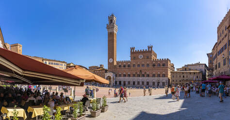 View of restaurants and Palazzo Pubblico in Piazza del Campo, UNESCO World Heritage Site, Siena, Tuscany, Italy, Europe - RHPLF29036