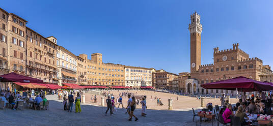 View of restaurants and Palazzo Pubblico in Piazza del Campo, UNESCO World Heritage Site, Siena, Tuscany, Italy, Europe - RHPLF29039