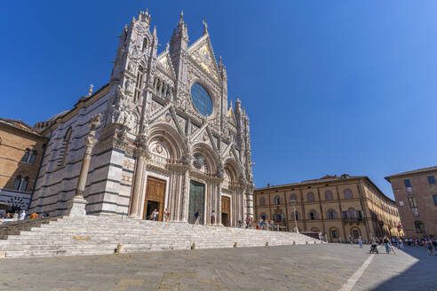 View of Duomo di Siena (Cathedral), UNESCO World Heritage Site, Siena, Tuscany, Italy, Europe - RHPLF29040