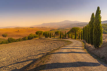 View of cypress trees and landscape in the Val d' Orcia near San Quirico d'Orcia, UNESCO World Heritage Site, province of Siena, Tuscany, Italy, Europe - RHPLF29044