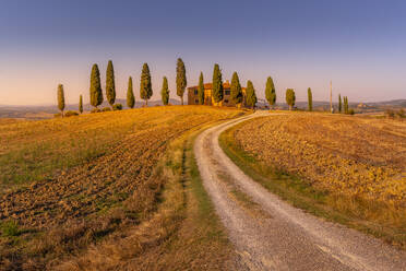 View of cypress trees in landscape near Pienza, Val d'Orcia, UNESCO World Heritage Site, Province of Siena, Tuscany, Italy, Europe - RHPLF29048