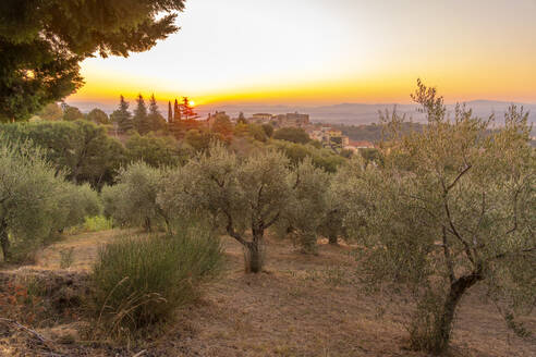 View of sunrise over Chianciano Terme, Province of Siena, Tuscany, Italy, Europe - RHPLF29061