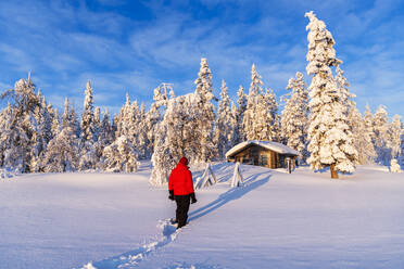 Person stands in front of an isolated mountain hut among trees covered with snow, Swedish Lapland, Norrbotten, Sweden, Scandinavia, Europe - RHPLF29086