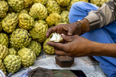 Custard apples sold in Mumbai, India, Asia - RHPLF29167