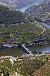 Vineyards in Douro valley in the heart of Alto Douro Wine Region, Pinhao, Portugal, Europe - RHPLF29177