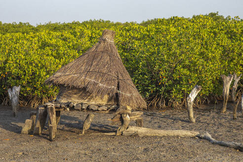 Ancient granary with a roof of dry grass on an island among mangrove trees, Joal-Fadiouth, Senegal, West Africa, Africa - RHPLF29190