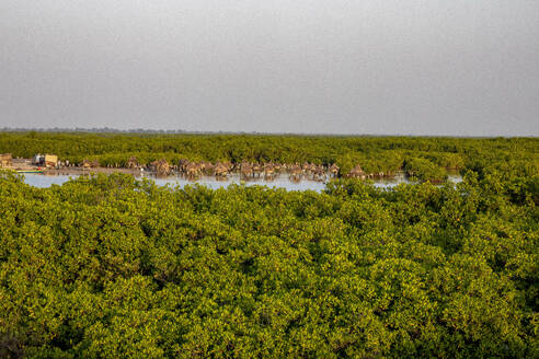 Ancient granaries on an island among mangrove trees, Joal-Fadiouth, Senegal, West Africa, Africa - RHPLF29191