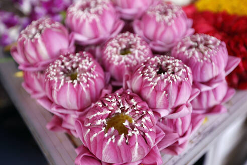 Flower garlands as temple offerings for Hindu ceremony, Indian flower shop at Sri Maha Mariamman Temple, Bangkok, Thailand, Southeast Asia, Asia - RHPLF29234