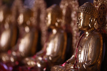 Wooden statue of Siddhartha Gautama (the Buddha), Van Hanh Zen Buddhist Monastery, Dalat, Vietnam, Indochina, Southeast Asia, Asia - RHPLF29239