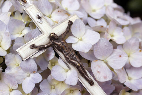 Prayer in nature, Catholic rosary beads with Jesus on hydrangea flower, Vietnam, Indochina, Southeast Asia, Asia - RHPLF29242