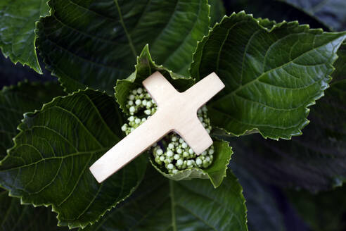 Religious symbol of prayer in nature, Christian cross on green leaves, Vietnam, Indochina, Southeast Asia, Asia - RHPLF29243