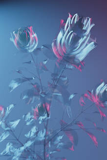 3D render of glass blooming roses against blue background - GCAF00497