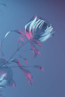 3D-Rendering von Glas blühenden Rosen gegen blauen Hintergrund - GCAF00500