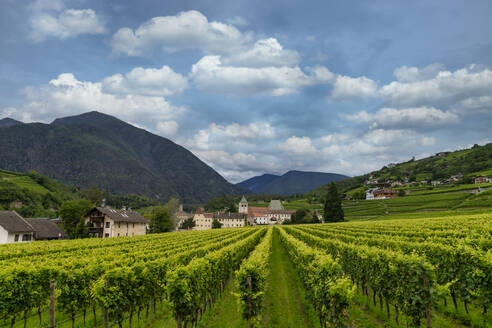 Weinberg um das Kloster Neustift, im Sommer. Kloster Neustift, Brixen, Südtirol, Italien, Europa - RHPLF29358