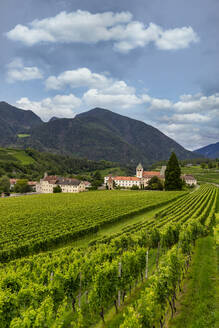 Weinberg um das Kloster Neustift, im Sommer. Kloster Neustift, Brixen, Südtirol, Italien, Europa - RHPLF29359