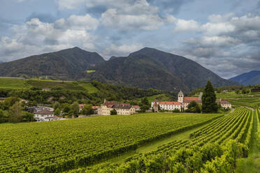 Weinberg um das Kloster Neustift, im Sommer. Kloster Neustift, Brixen, Südtirol, Italien, Europa - RHPLF29360