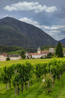 Weinberg um das Kloster Neustift, im Sommer. Kloster Neustift, Brixen, Südtirol, Italien, Europa - RHPLF29361
