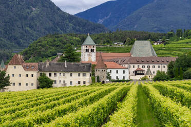 Weinberg um das Kloster Neustift, im Sommer. Kloster Neustift, Brixen, Südtirol, Italien, Europa - RHPLF29362