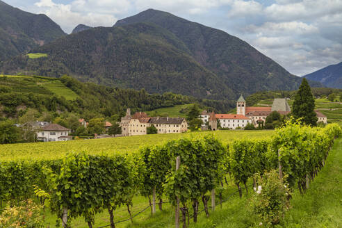 Weinberg um das Kloster Neustift, im Sommer. Kloster Neustift, Brixen, Südtirol, Italien, Europa - RHPLF29364