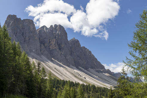 Naturpark Puez-Geisler, Grödner Tal, Bezirk Bozen, Südtirol, Italien, Europa - RHPLF29375