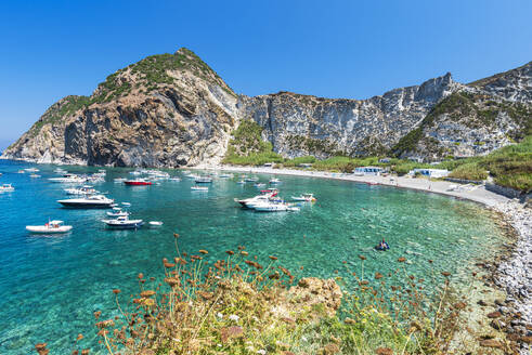 Palmarola-Bucht mit Booten in kristallklarem Wasser, Insel Palmarola, Gemeinde Ponza, Tyrrhenisches Meer, Pontinischer Archipel, Provinz Latina, Latium (Latium), Italien, Europa - RHPLF29410