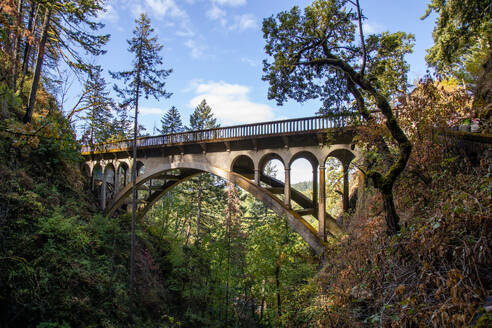 Brücke am Columbia River Highway, Oregon, Vereinigte Staaten von Amerika, Nordamerika - RHPLF29416