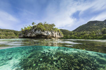 Blick von oben und unten auf bewachsene Inseln im geschützten Naturhafen, Wayag Bay, Raja Ampat, Indonesien, Südostasien, Asien - RHPLF29498